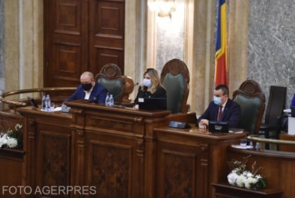 Două ordonanțe privind acordarea concediilor medicale și prelungirea termenului pentru șomaj tehnic, adoptate de Senat