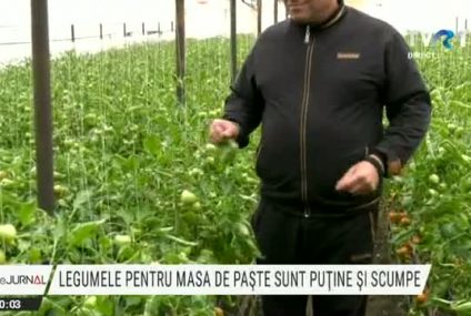 Salata de pe masa de Paște va fi mai scumpă. Vremea rece a întârziat coacerea verdețurilor