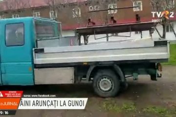 Câini abandonați, băgați în saci și duși la gunoi. Animalele au fost salvate de reprezentanții unei asociații