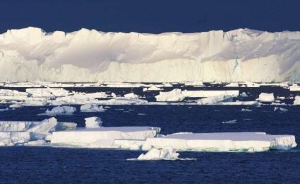 Recordul de 38 grade Celsius înregistrat în Arctica în iunie 2020, validat de Organizaţia Meteorologică Mondială