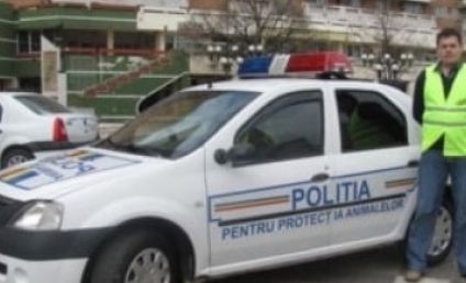 Dosar penal în cazul unui bărbat din Odorhei care își ținea vitele în condiții precare. Acesta riscă să rămână fără ele și să nu mai poată creşte animale între 1 şi 5 ani