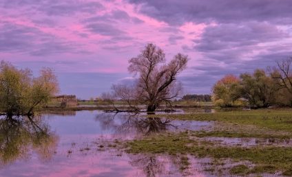 Cod galben de viituri pe râuri din judeţele Prahova, Covasna şi Buzău, miercuri dimineaţa