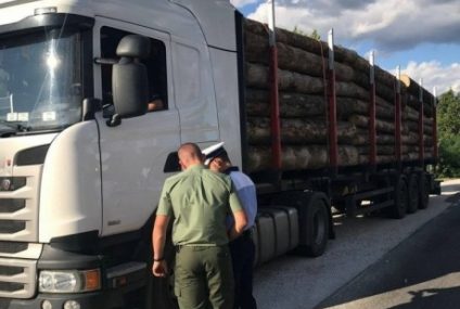 Percheziţii într-un dosar de fals informatic. Un bărbat este suspectat că introducea avize false în aplicația tranului de material lemnos