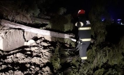 Vâlcea: O alunecare de teren care a antrenat copaci a blocat DN 67, la Horezu