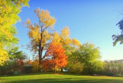 Vreme călduroasă şi precipitaţii reduse cantitativ, în luna septembrie