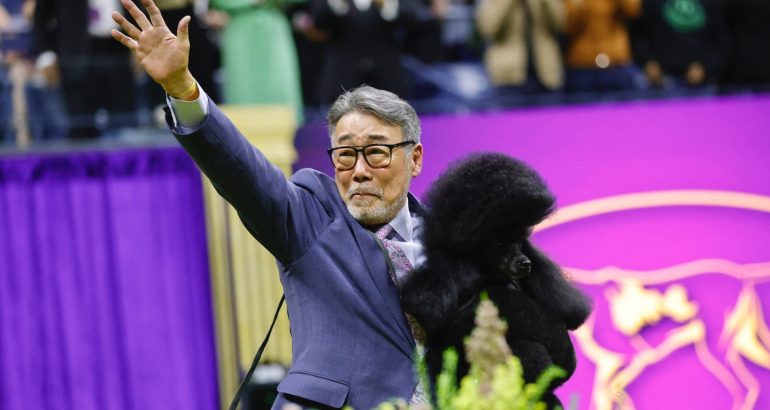 photos-and-recap-of-the-westminster-dog-show-2024-–-the-washington-post