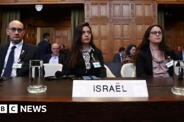 Gaza war: Israel accuses South Africa of false claims at ICJ – BBC.com