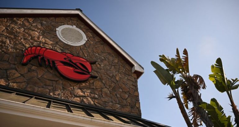 red-lobster-files-for-bankruptcy-–-cnn