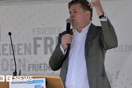 German far right in disarray after AfD Nazi remark – BBC.com