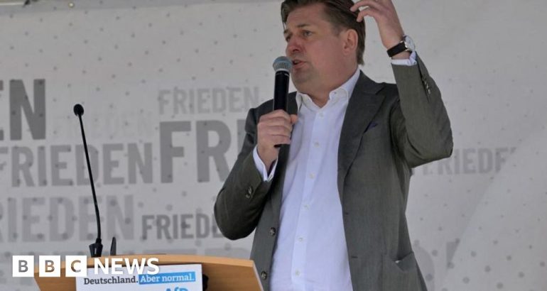 german-far-right-in-disarray-after-afd-nazi-remark-–-bbc.com