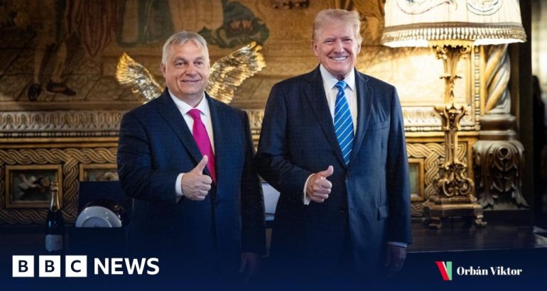 hungary’s-viktor-orban-meets-donald-trump-at-mar-a-lago-–-bbc.com